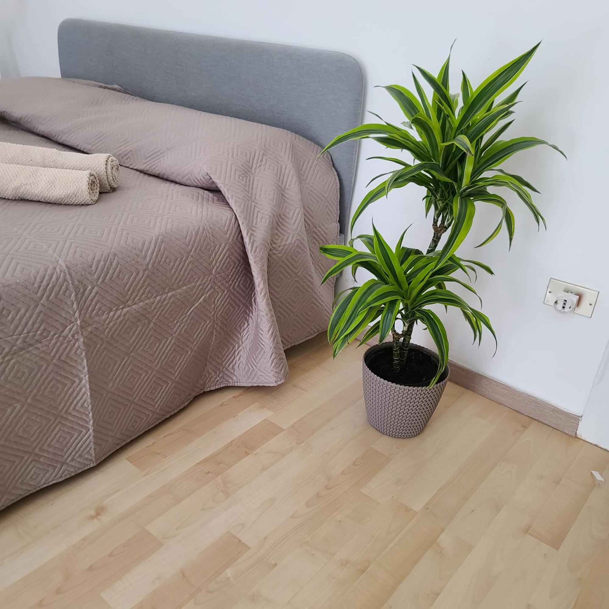 Mariamora Apartment Bari Exterior photo